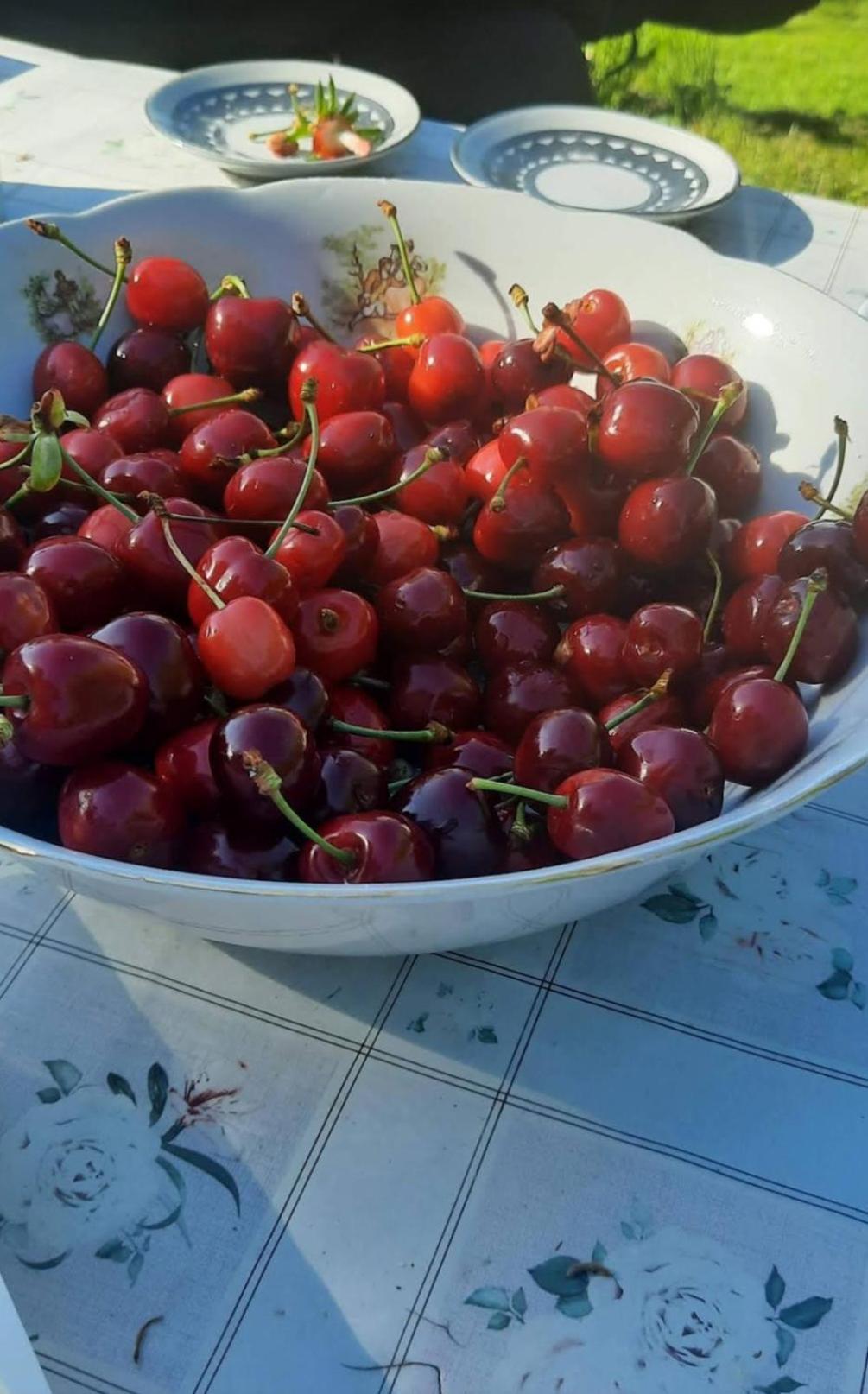 Вилла Mala Farma Nani Високо Экстерьер фото