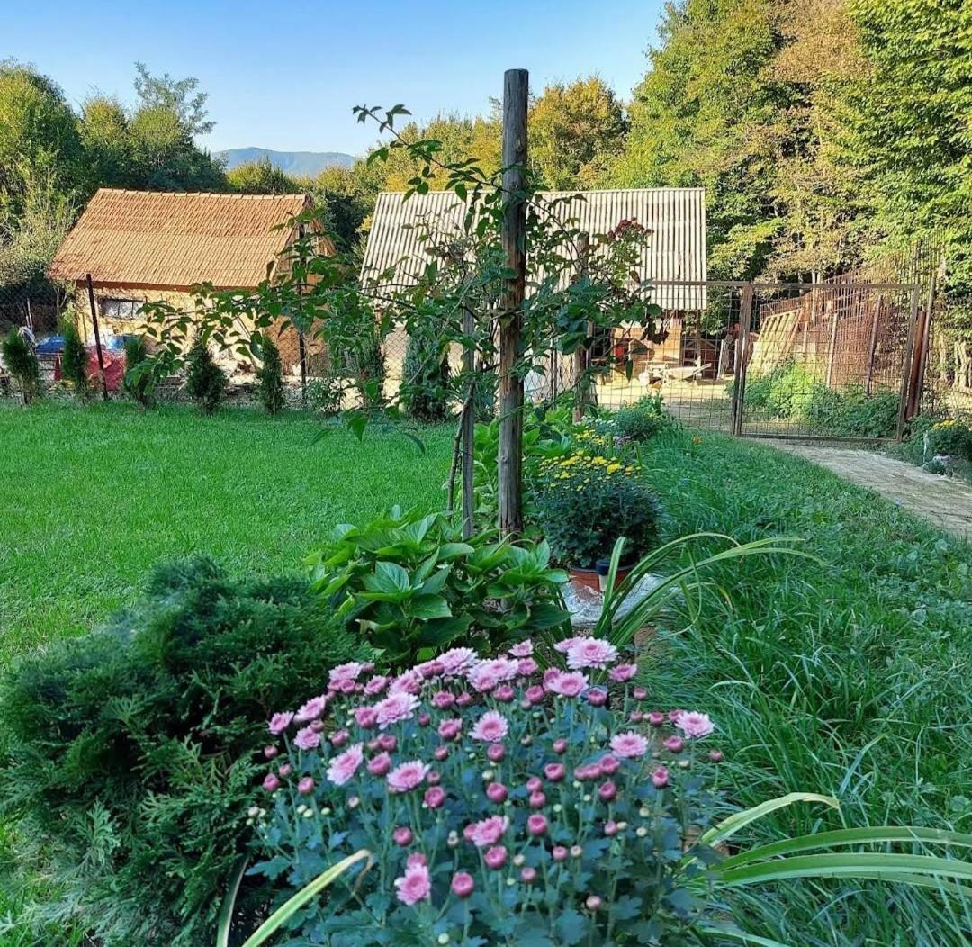 Вилла Mala Farma Nani Високо Экстерьер фото