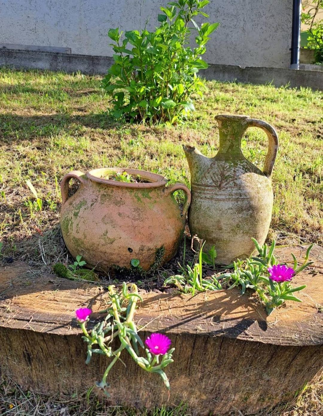 Вилла Mala Farma Nani Високо Экстерьер фото