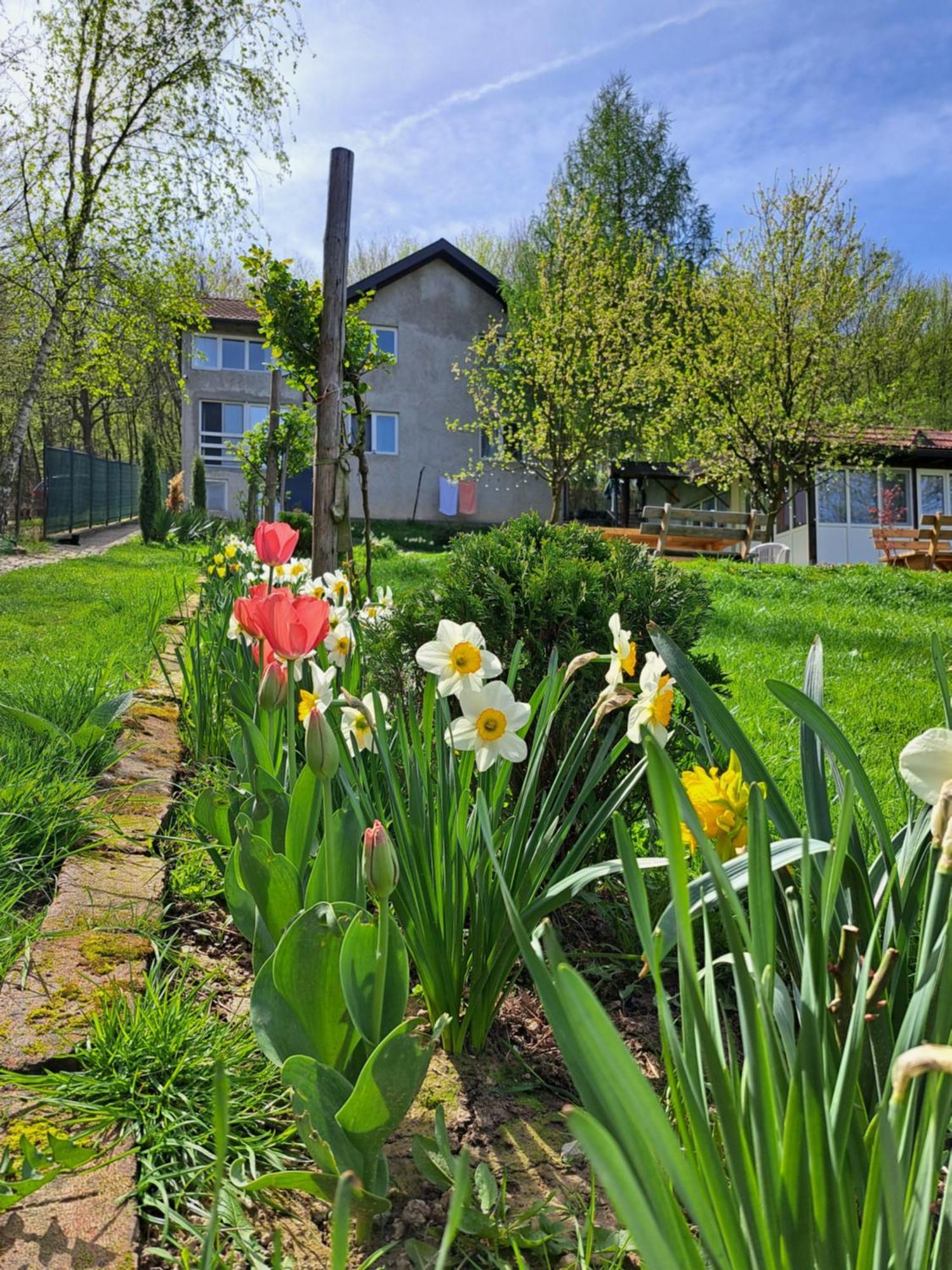 Вилла Mala Farma Nani Високо Экстерьер фото